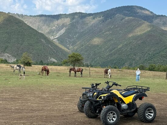 BORJOMI TOUR