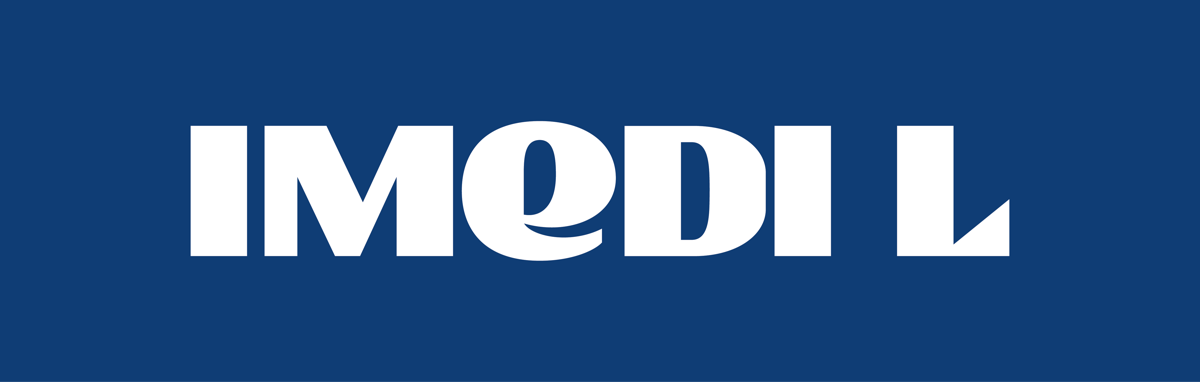 Imedi L